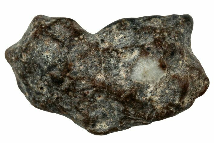 Lunar Meteorite ( g) - NWA #303983